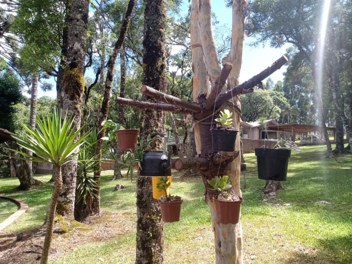 Quartos Recanto Da Natureza Interior Canela Exteriér fotografie